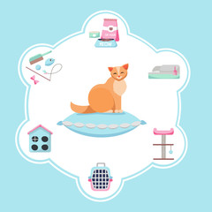 illustration for banner with set of products for cat care. Pet supplies: food, toys, mouse, bowl and box, toilet and equipment for grooming. Vet collection. Flat cartoon illustration