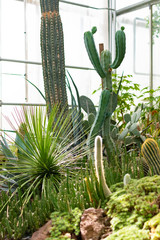 Novy Dvur, Oprava, Czech Republic, 26 April 2019 - Greenhouse at Arboretum of Novy Dvur Botanical Garden with tropical plants