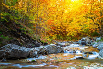 River on autum forest. Beautiful autumn foliage, waterfalls and mountain stream in the forest