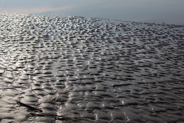 Wet sand, Finnish Gulf