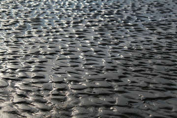 Wet sand, Finnish Gulf