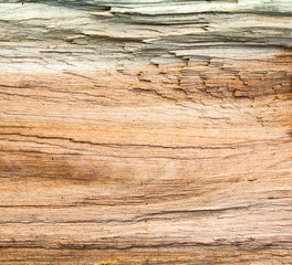 Wooden texture.