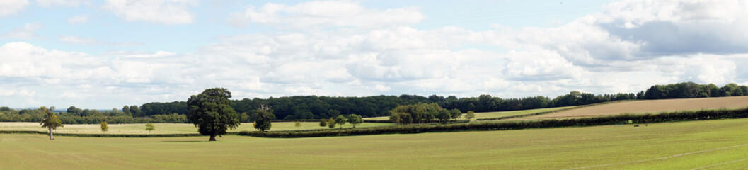 Fototapeta na wymiar Panoramic landscape in Yorkshire