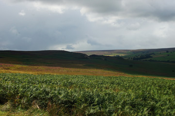 Landscape under clouds in Yorkshire - 267383421
