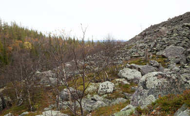 Fototapeta na wymiar Mounitain in a national park in sweden photographed in late autumn