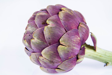 Obraz premium A single artichoke flower on a white background