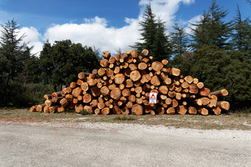 Tas de bois