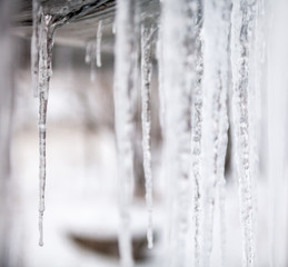 Long thin icicles. Close-up