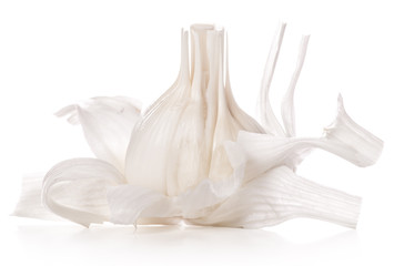 head of young garlic with the peel to clean on an isolated white background