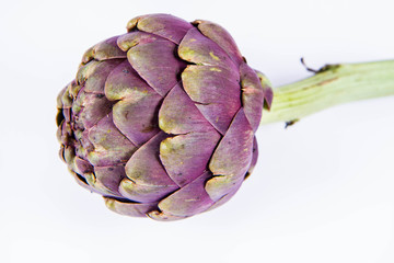 Obraz premium A single artichoke flower on a white background
