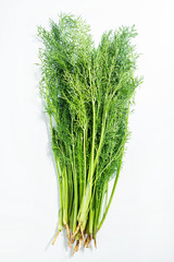 Fresh stems and leaves vegetable fennel on white background