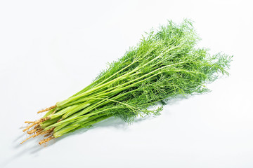 Fresh stems and leaves vegetable fennel on white background