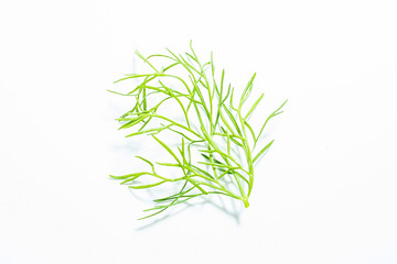 Fresh vegetables fennel leaves closeup on white background