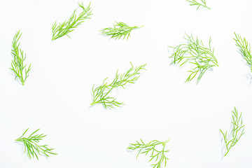 Fresh vegetable fennel leaf poster background material on white background