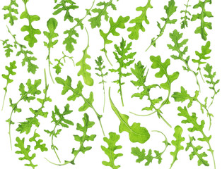 Collection of arugula on an isolated white background