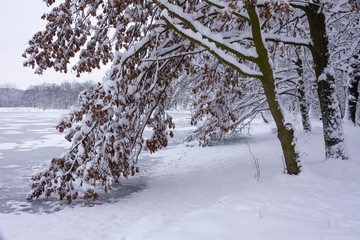 winterliche landschaft