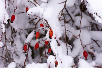 winterliche landschaft