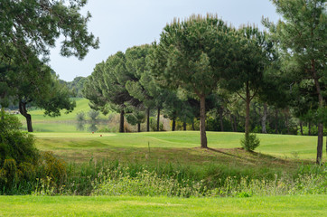 A golf course.