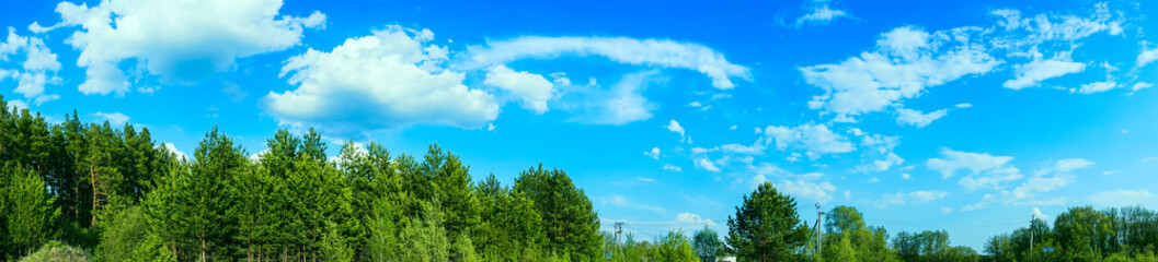 Fototapeta na wymiar panoramic view forest and blue sky