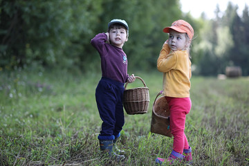 Children go to the forest for mushrooms