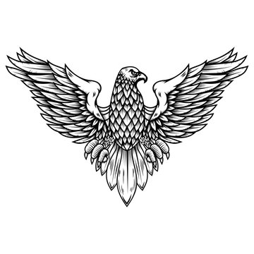 Eagle illustration in engraving style. Design element for logo, label, sign, poster, badge, emblem.
