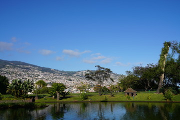 Funchal in Madeira city view in a sunny summer day