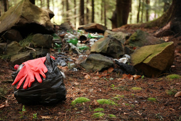 Garbage dump in forest, environmental pollution by plastic.