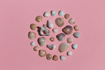 many beautiful stones of the marine life. top view shot.stones in circul-shaped