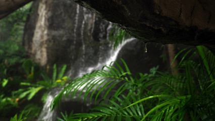 Closeup of water drops underneath the cave with blur background of rainforest waterfall. Selected focus.
