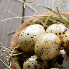 Naklejka na ściany i meble Fresh organic quail eggs in wooden bowl on rustic kitchen table. Space for text