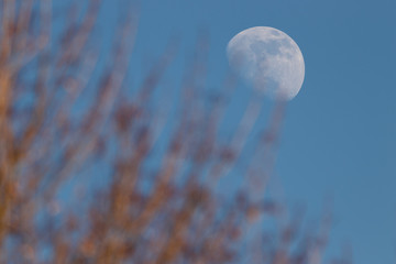 Moonday