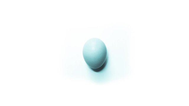 different colored eggs on white background 