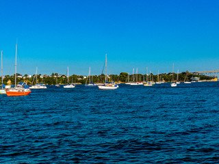 Obraz premium Tours go around the harbour, From the Birkenhead Whard, Waitemata Harbour, Auckland, New Zealand