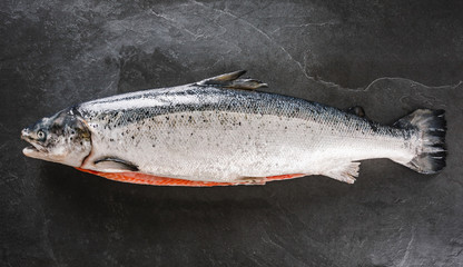 Fresh raw salmon red fish with spices on ice over dark stone background. Creative layout made of fish, seafood, top view, flat lay