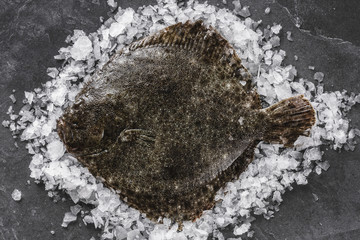 Raw whole flounder fish on ice over dark stone background. Creative layout made of fish, top view