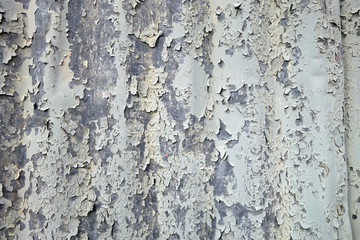 Fototapeta premium Extremely weathered painted metal corrugated steel surface 