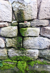 old stone wall with green moss