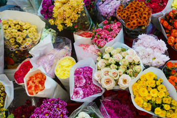 beautiful colorful flowers in flower shop