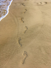 Fototapeta na wymiar Footprints in the sand near ocean