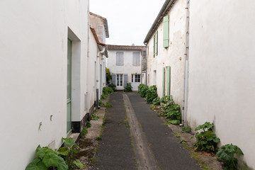 Fototapeta na wymiar authentic little cobblestone street in Charentes maritime Re Island in French country