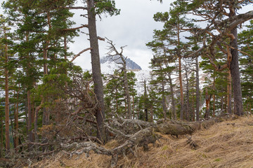 Naklejka premium Mountain day autumn