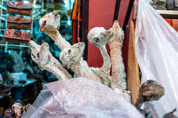 Llama foetuses for sale at the La Paz Witches Market (El Mercado de Las Brujas de La Paz) in the...