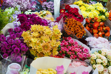 beautiful colorful flowers in flower shop