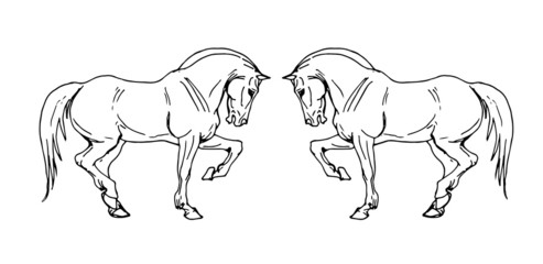 vector isolated image of prancing drawn heavy horses on white background 