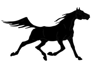 drawn silhouette of a black horse running at a trot with a developing mane and tail, isolated on a white background 