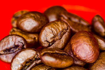 Brown roasted coffee beans on red background, close up, macro
