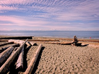 Wreck Beach in Vancouver