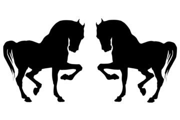 vector isolated prancing silhouettes, black horses on a white background