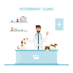 Veterinarian and doctor with pet on counter in vet clinic.