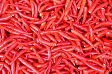 Chili agricultural product in the food stall at the local market, Korat province in Thailand.